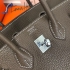 Hermes Birkin 25cm Genuine French Togo Leather HBTGG25cm 